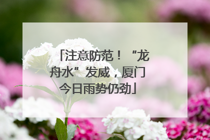 注意防范！“龙舟水”发威，厦门今日雨势仍劲