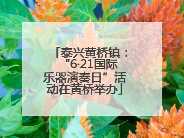 泰兴黄桥镇：“6·21国际乐器演奏日”活动在黄桥举办