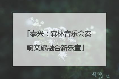 泰兴：森林音乐会奏响文旅融合新乐章