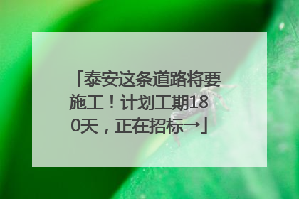 泰安这条道路将要施工！计划工期180天，正在招标→