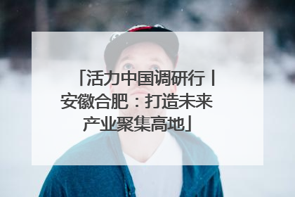 活力中国调研行丨安徽合肥：打造未来产业聚集高地