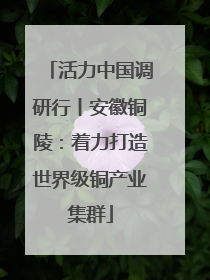 活力中国调研行丨安徽铜陵：着力打造世界级铜产业集群