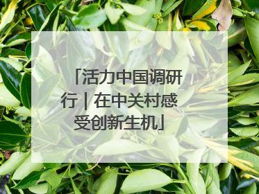 活力中国调研行｜在中关村感受创新生机