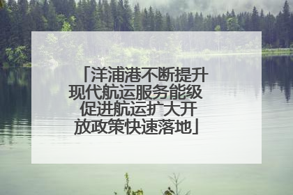 洋浦港不断提升现代航运服务能级 促进航运扩大开放政策快速落地