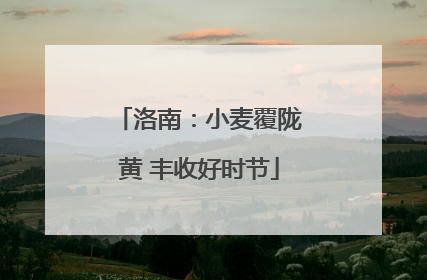 洛南：小麦覆陇黄 丰收好时节