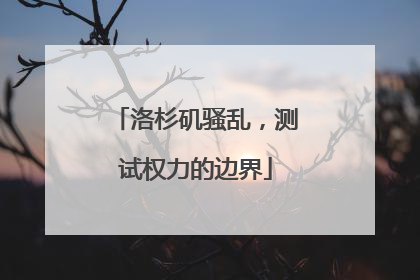 洛杉矶骚乱，测试权力的边界