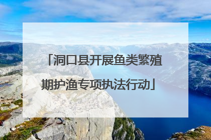 洞口县开展鱼类繁殖期护渔专项执法行动