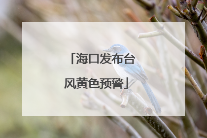 海口发布台风黄色预警