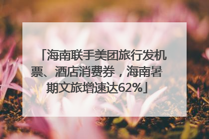 海南联手美团旅行发机票、酒店消费券，海南暑期文旅增速达62%