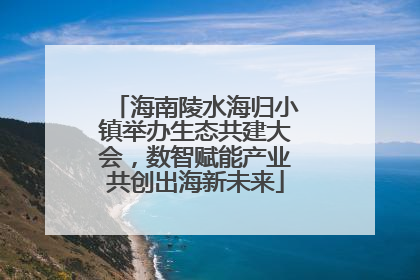 海南陵水海归小镇举办生态共建大会，数智赋能产业共创出海新未来