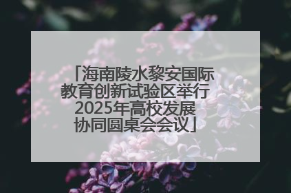 海南陵水黎安国际教育创新试验区举行2025年高校发展协同圆桌会会议