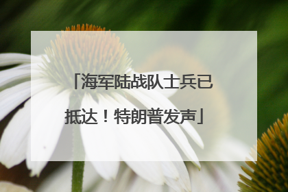 海军陆战队士兵已抵达！特朗普发声