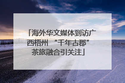 海外华文媒体到访广西梧州 “千年古郡”茶旅融合引关注