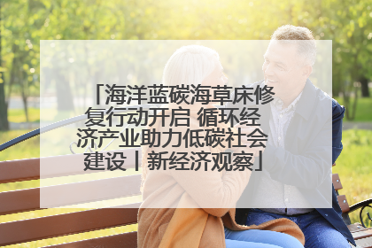 海洋蓝碳海草床修复行动开启 循环经济产业助力低碳社会建设丨新经济观察