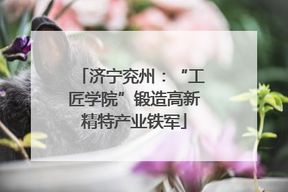 济宁兖州：“工匠学院”锻造高新精特产业铁军