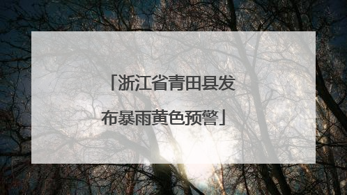 浙江省青田县发布暴雨黄色预警