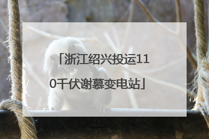 浙江绍兴投运110千伏谢慕变电站