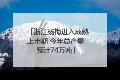 浙江杨梅进入成熟上市期 今年总产量预计74万吨