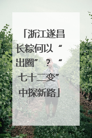 浙江遂昌长粽何以“出圈”？“七十二变”中探新路