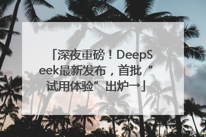 深夜重磅！DeepSeek最新发布，首批“试用体验”出炉→