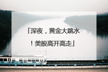 深夜，黄金大跳水！美股高开高走