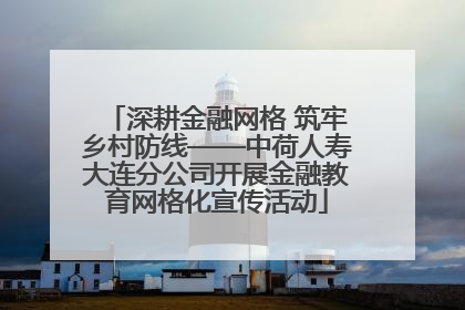 深耕金融网格 筑牢乡村防线——中荷人寿大连分公司开展金融教育网格化宣传活动