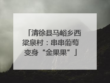 清徐县马峪乡西梁泉村：串串葡萄变身“金果果”