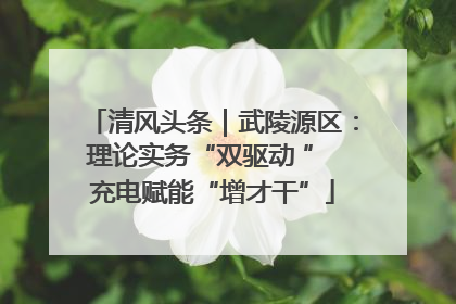 清风头条｜武陵源区：理论实务“双驱动 ” 充电赋能“增才干”