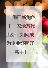 港口新角色！一家地方代表处，如何成为企业纾困好帮手