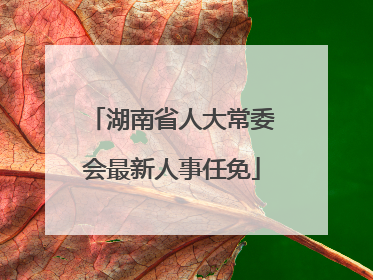 湖南省人大常委会最新人事任免