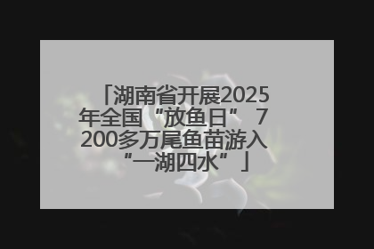湖南省开展2025年全国“放鱼日” 7200多万尾鱼苗游入“一湖四水”