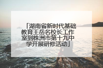 湖南省新时代基础教育王岳名校长工作室到株洲市第十九中学开展研修活动