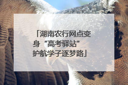湖南农行网点变身“高考驿站” 护航学子逐梦路