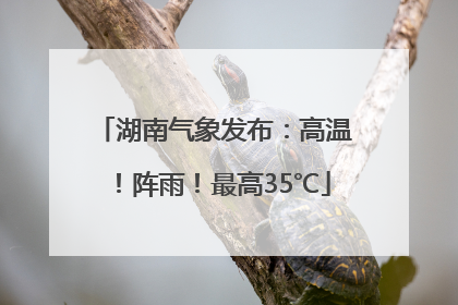 湖南气象发布：高温！阵雨！最高35℃