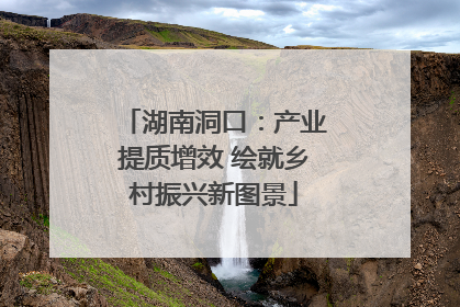 湖南洞口：产业提质增效 绘就乡村振兴新图景