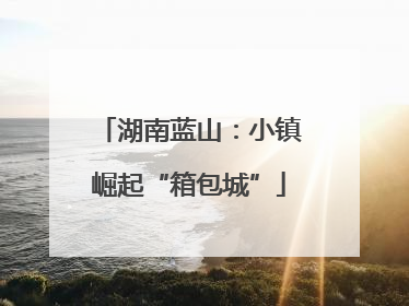 湖南蓝山：小镇崛起“箱包城”