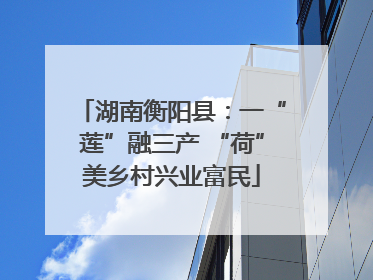 湖南衡阳县：一“莲”融三产 “荷”美乡村兴业富民
