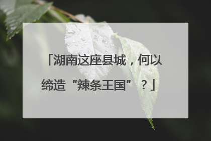 湖南这座县城，何以缔造“辣条王国”？