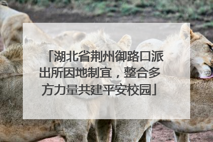 湖北省荆州御路口派出所因地制宜，整合多方力量共建平安校园