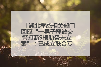 湖北孝感相关部门回应“一男子称被交警打断9根肋骨未立案”：已成立联合专班开展工作