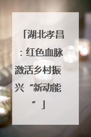 湖北孝昌：红色血脉激活乡村振兴“新动能”
