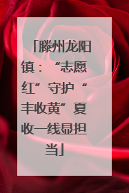 滕州龙阳镇：“志愿红”守护“丰收黄”夏收一线显担当