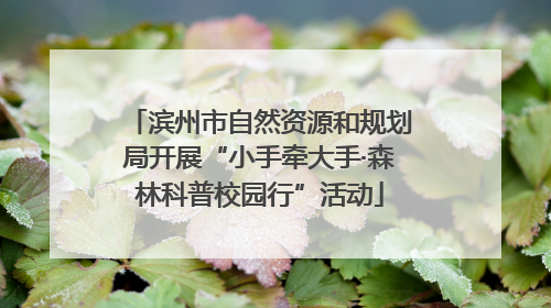 滨州市自然资源和规划局开展“小手牵大手·森林科普校园行”活动