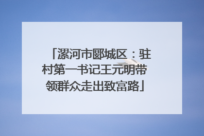 漯河市郾城区：驻村第一书记王元明带领群众走出致富路