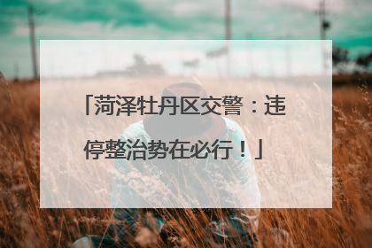 菏泽牡丹区交警：违停整治势在必行！
