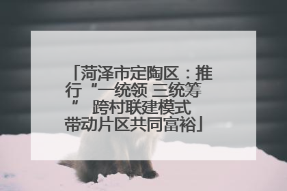 菏泽市定陶区：推行“一统领 三统筹” 跨村联建模式 带动片区共同富裕