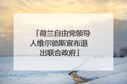 荷兰自由党领导人维尔德斯宣布退出联合政府