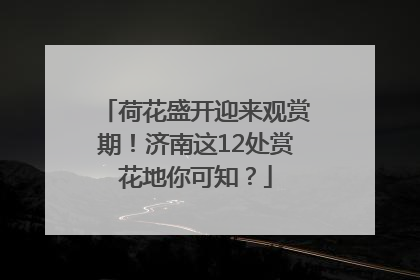 荷花盛开迎来观赏期！济南这12处赏花地你可知？