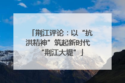 荆江评论：以“抗洪精神”筑起新时代“荆江大堤”