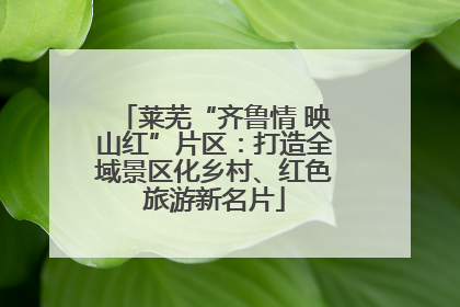 莱芜“齐鲁情 映山红”片区：打造全域景区化乡村、红色旅游新名片